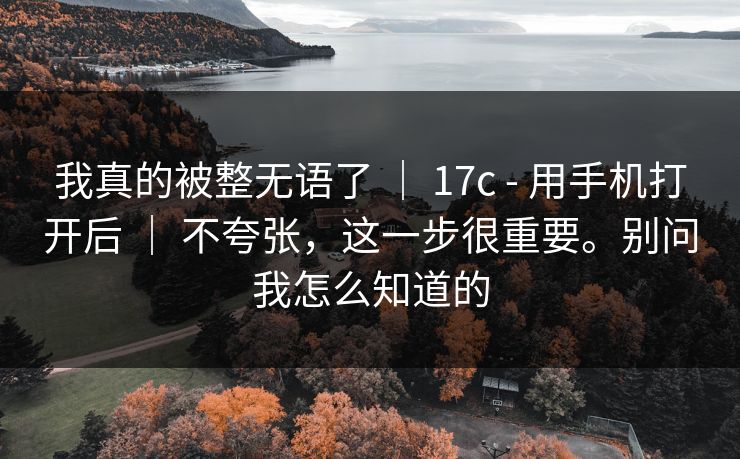我真的被整无语了 ｜ 17c - 用手机打开后 ｜ 不夸张，这一步很重要。别问我怎么知道的