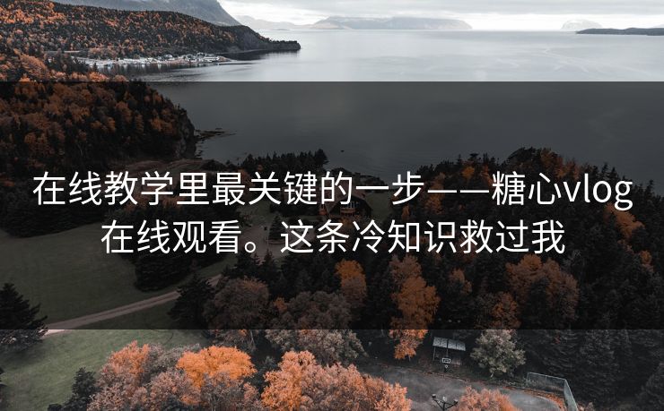 在线教学里最关键的一步——糖心vlog在线观看。这条冷知识救过我
